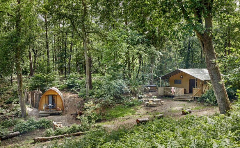 Luxe Vakantiehuis op de Veluwe: Een Oase van Comfort en Natuur